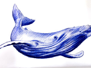 Whale