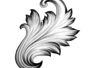 Oranamental rococo leaf