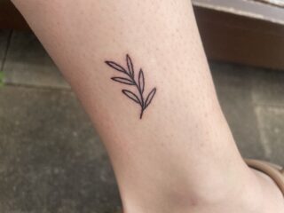 Leaves